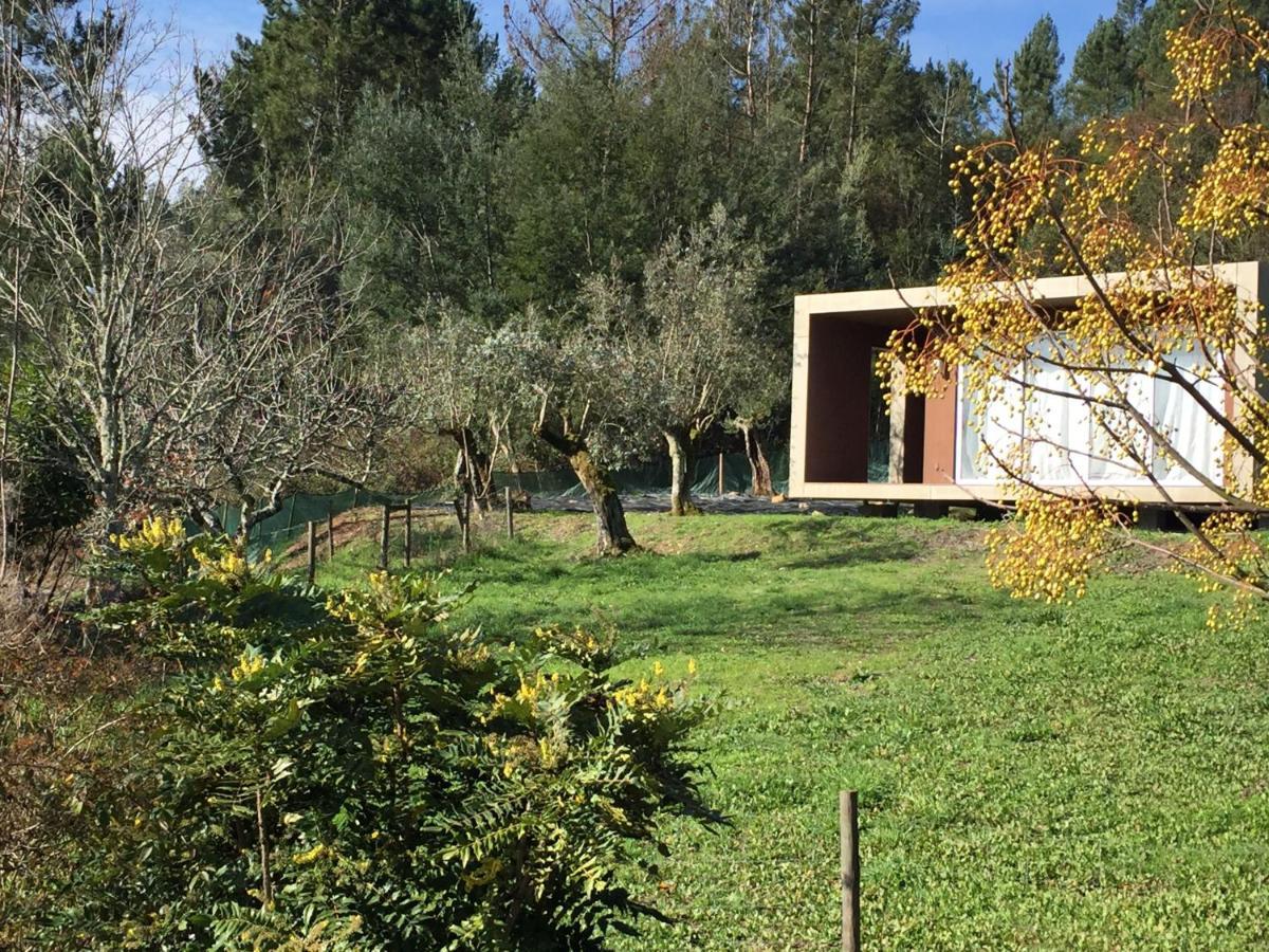 Adore Portugal Bungalow Natureza&Vista de Serra Lousã Exterior foto