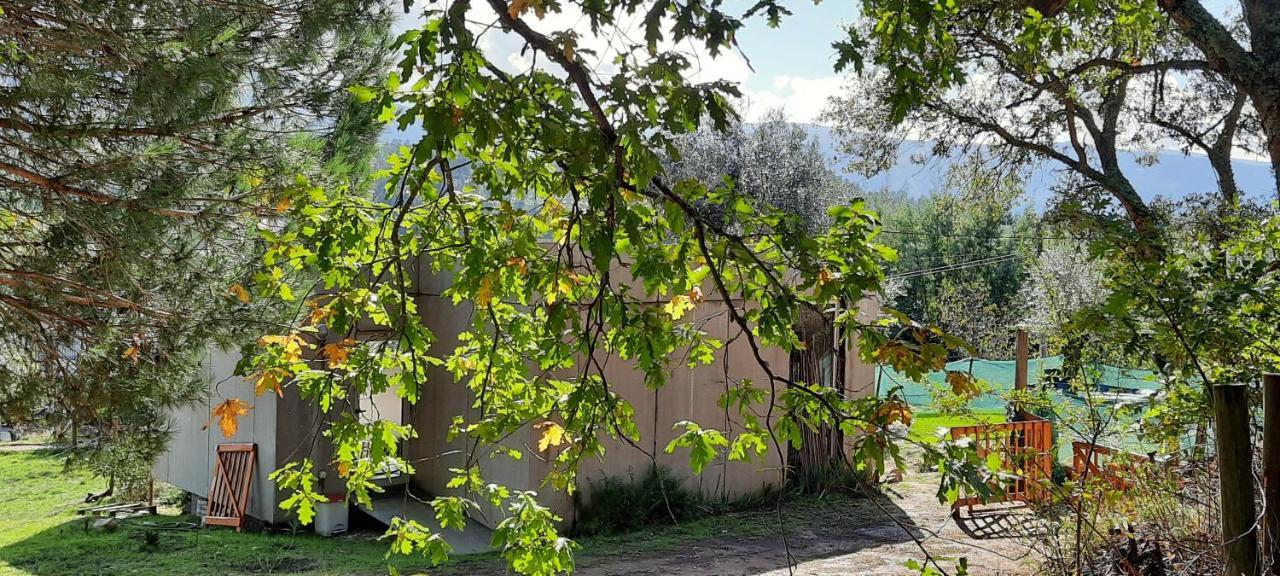 Adore Portugal Bungalow Natureza&Vista de Serra Lousã Exterior foto