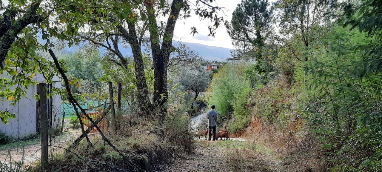 Adore Portugal Bungalow Natureza&Vista de Serra Lousã Exterior foto